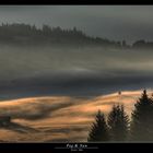 Fog & Sun (3)