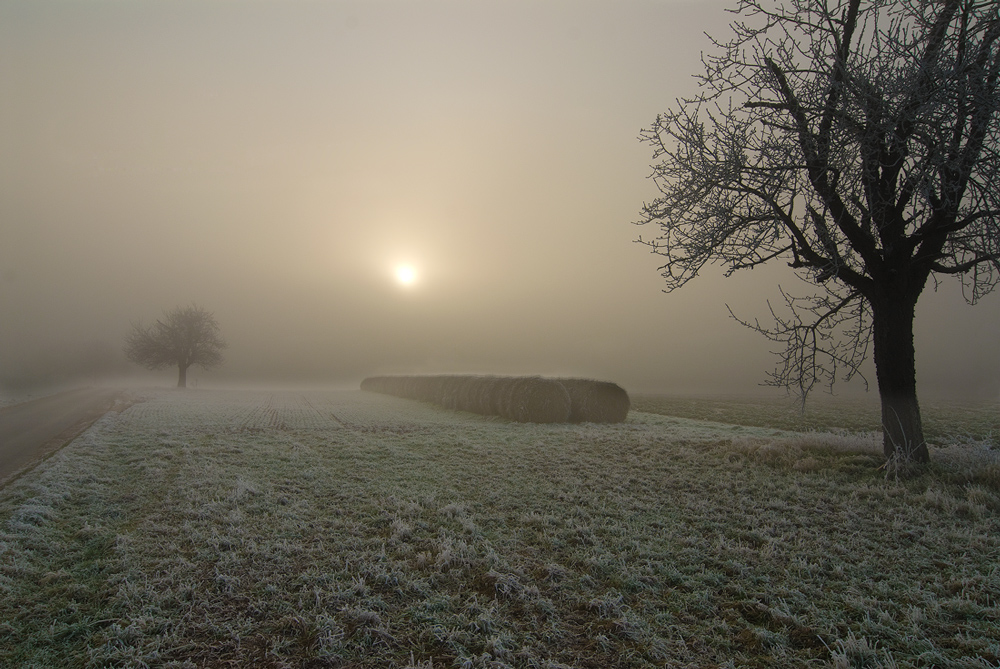 Fog & Sun