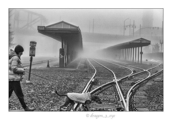 Fog Tracks 