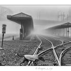 Fog Tracks 