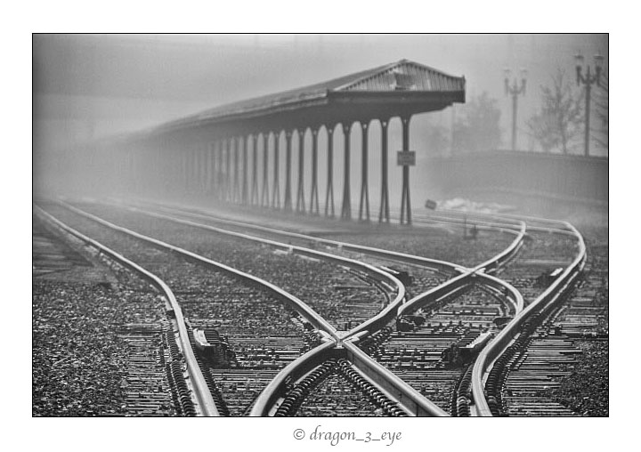 Fog Tracks 6