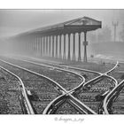 Fog Tracks 6