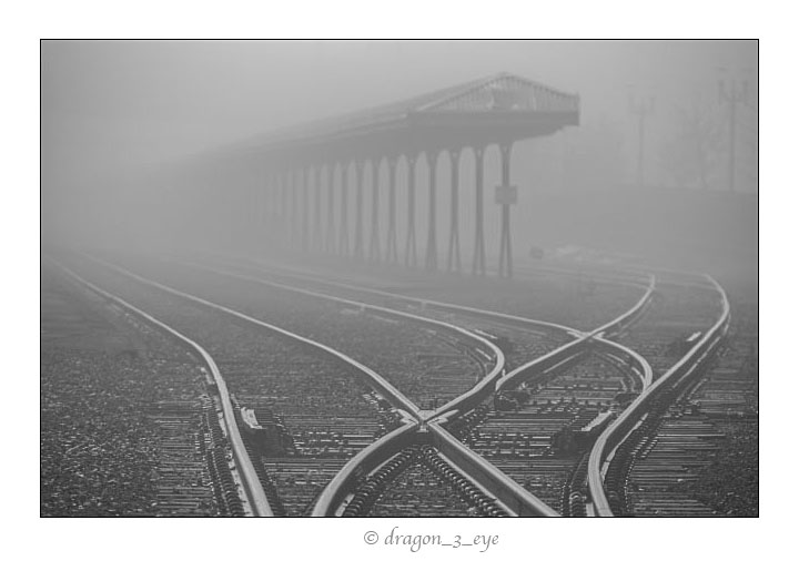 Fog Tracks 7