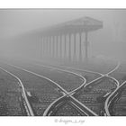 Fog Tracks 7