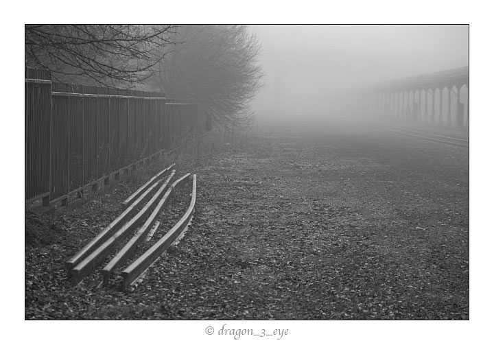 Fog Tracks 8