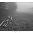 Fog Tracks 8