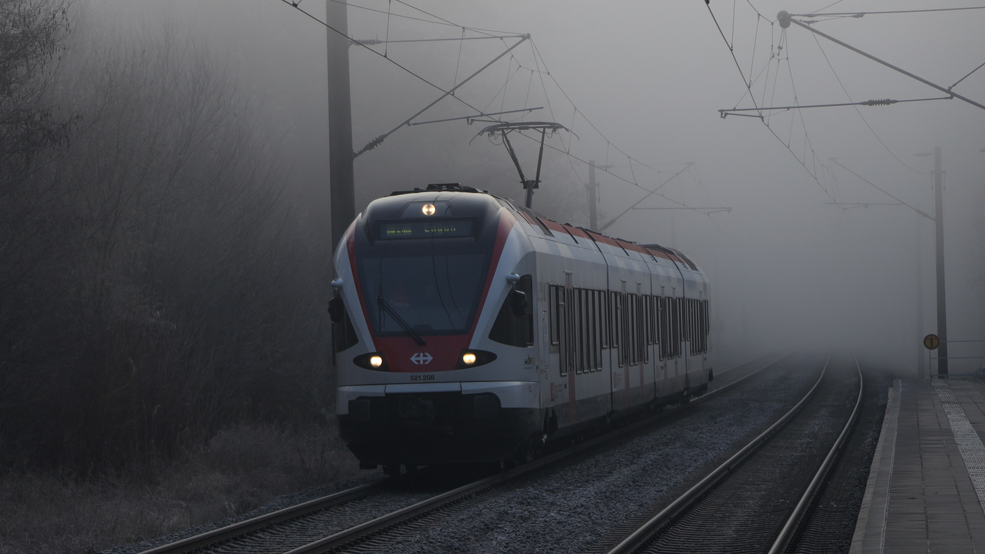 Fog Train