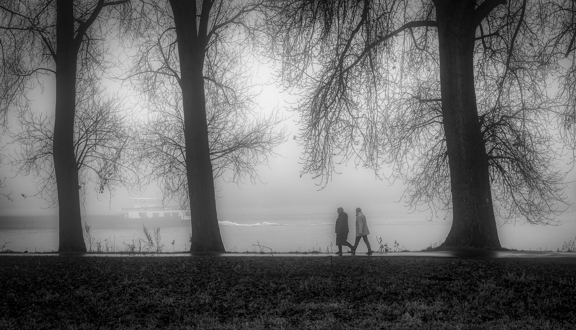 fog walk