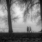 fog walk