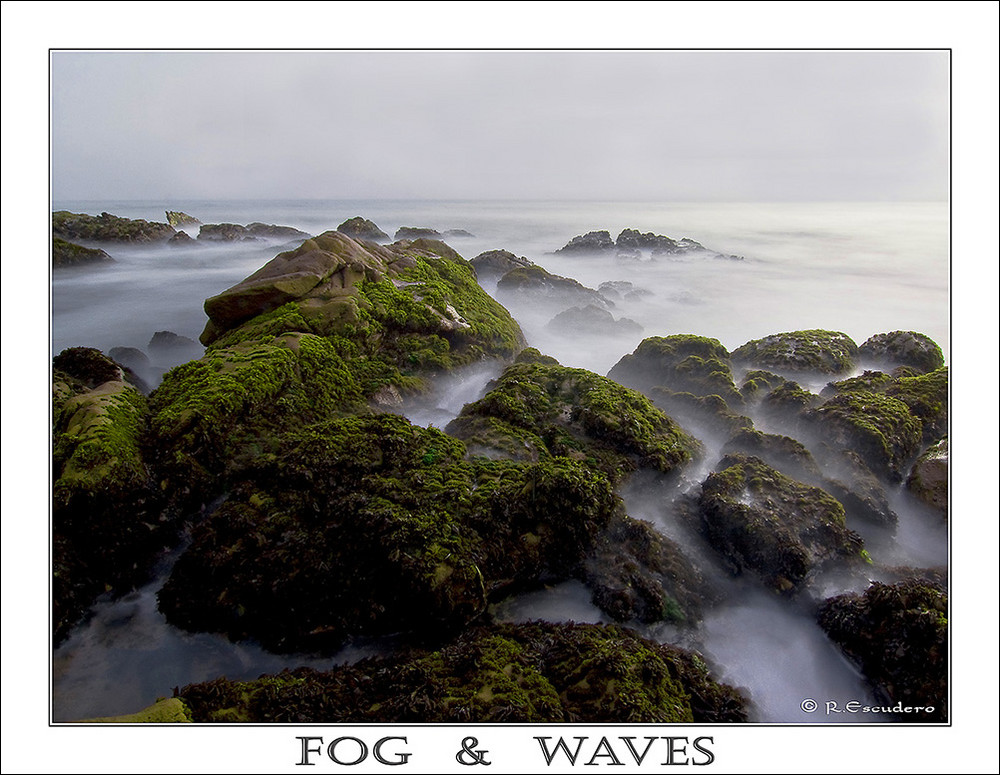 Fog & Waves