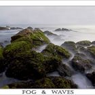 Fog & Waves