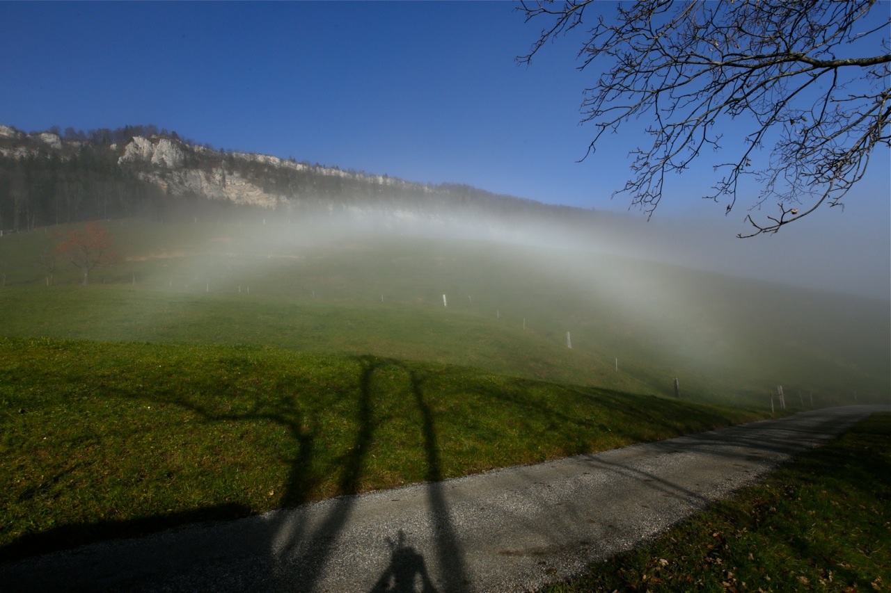 Fogbow