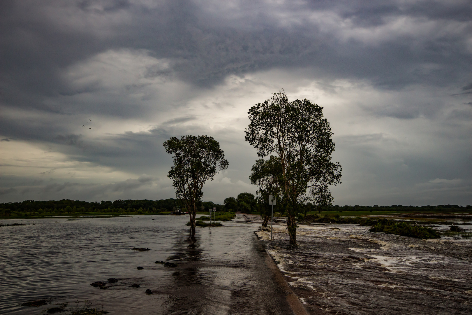 Fogg Dam after the monsoon