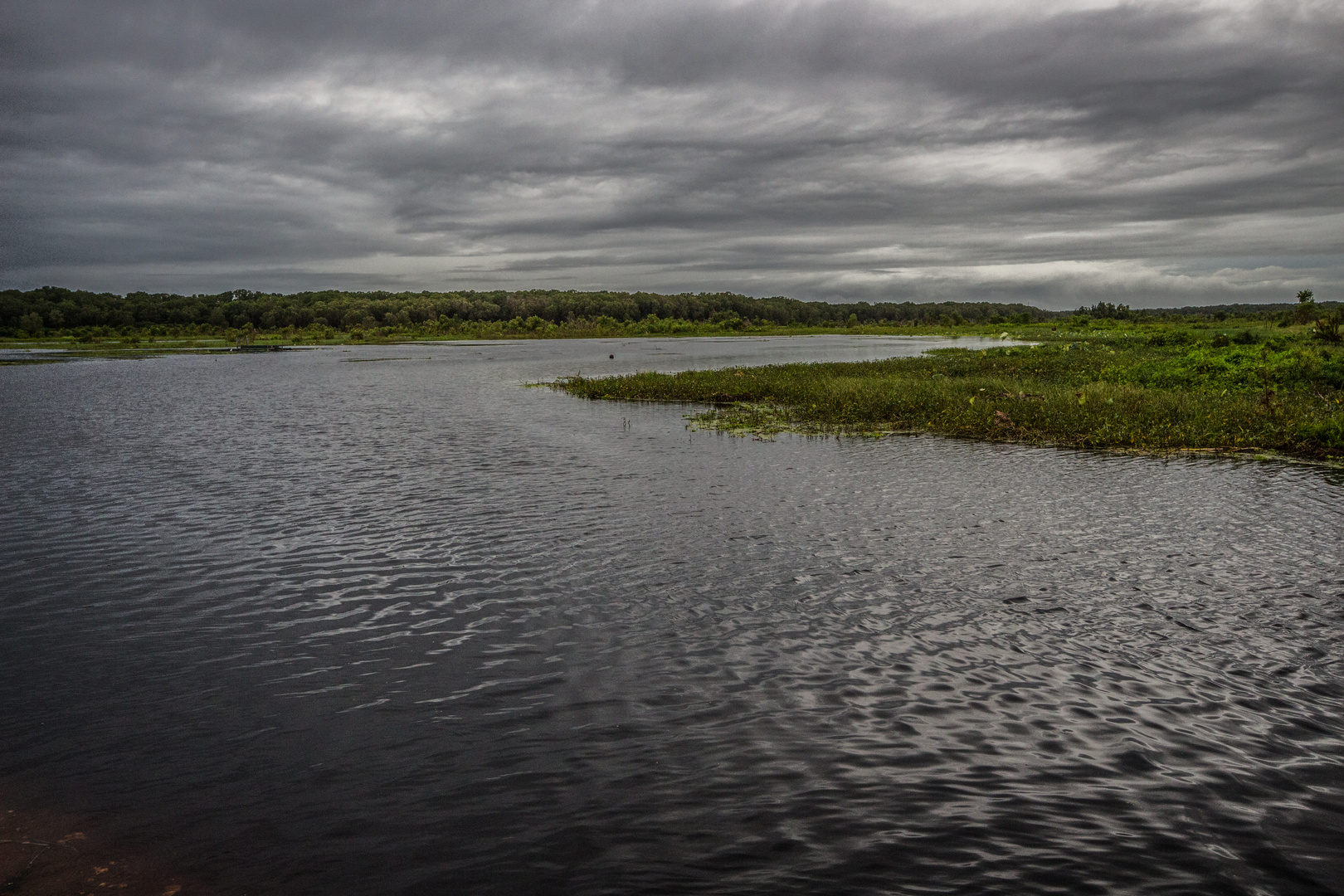 Fogg Dam after the monsoon III