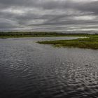 Fogg Dam after the monsoon III