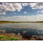 Fogg Dam Conservation Reserve