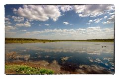 Fogg Dam Conservation Reserve