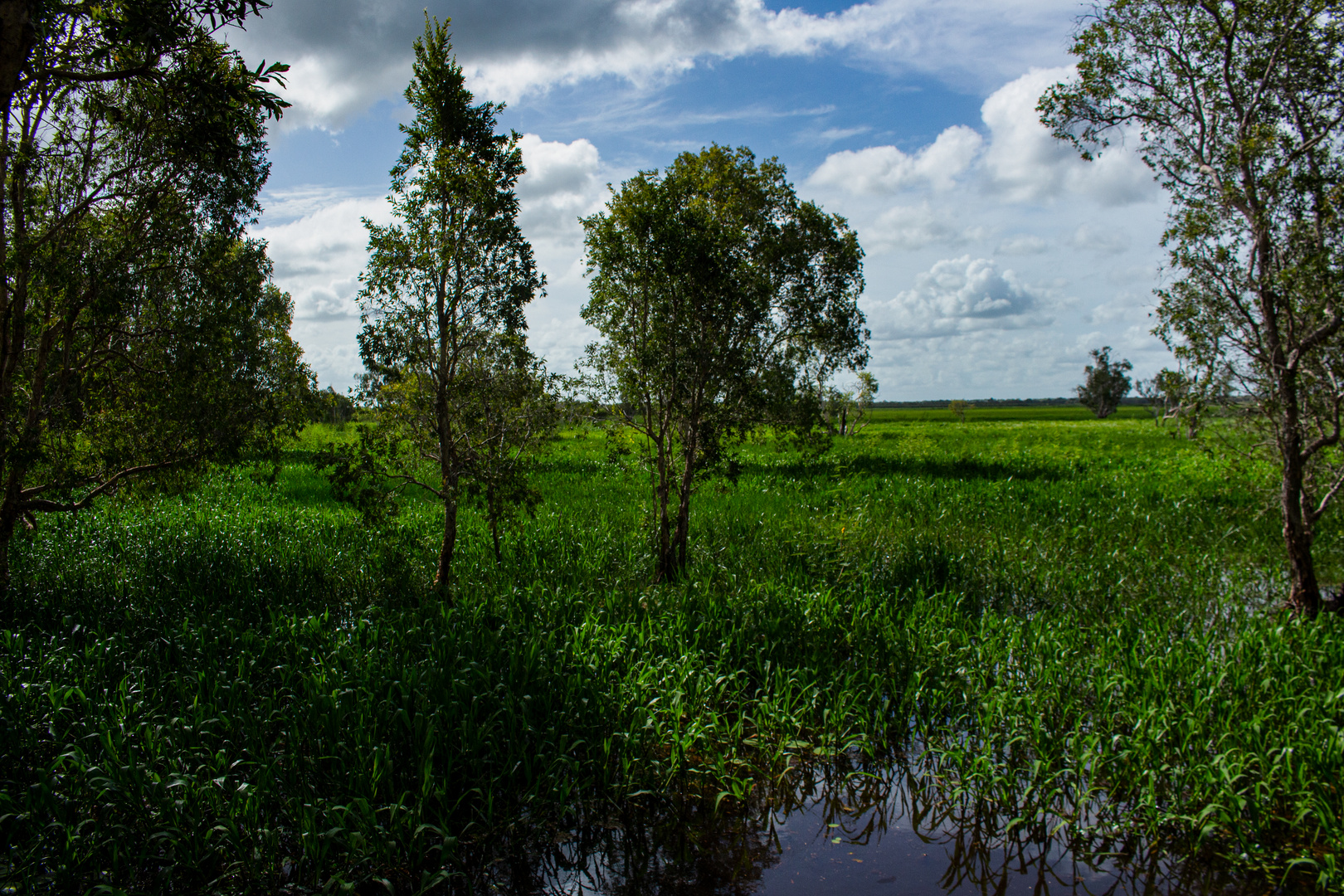 Fogg Dam Reserve