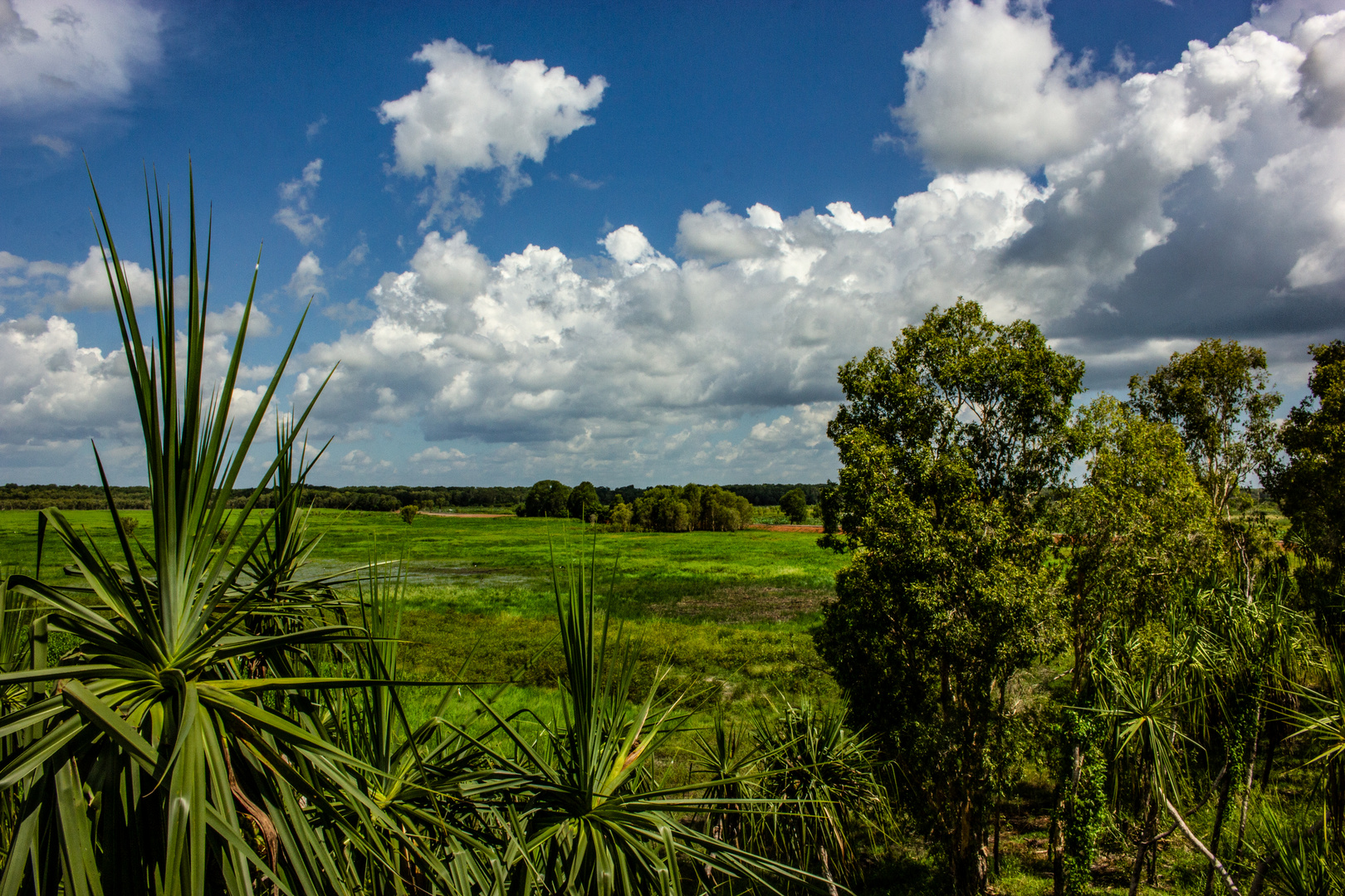 Fogg Dam Reserve