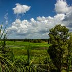 Fogg Dam Reserve