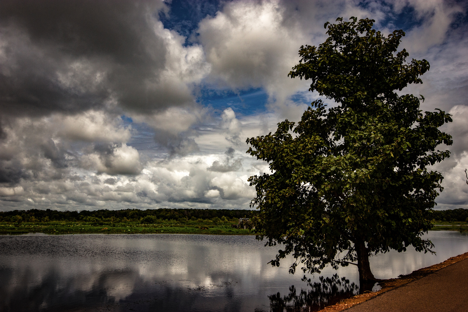 Fogg Dam Reserve