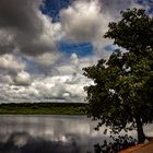 Fogg Dam Reserve