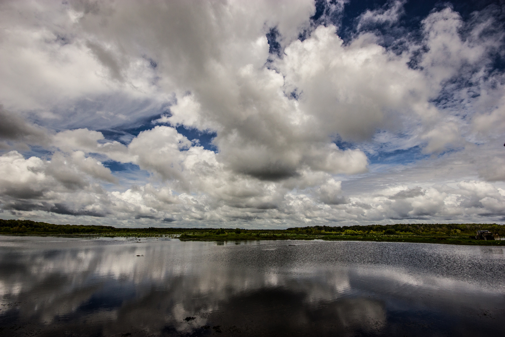 Fogg Dam Reserve