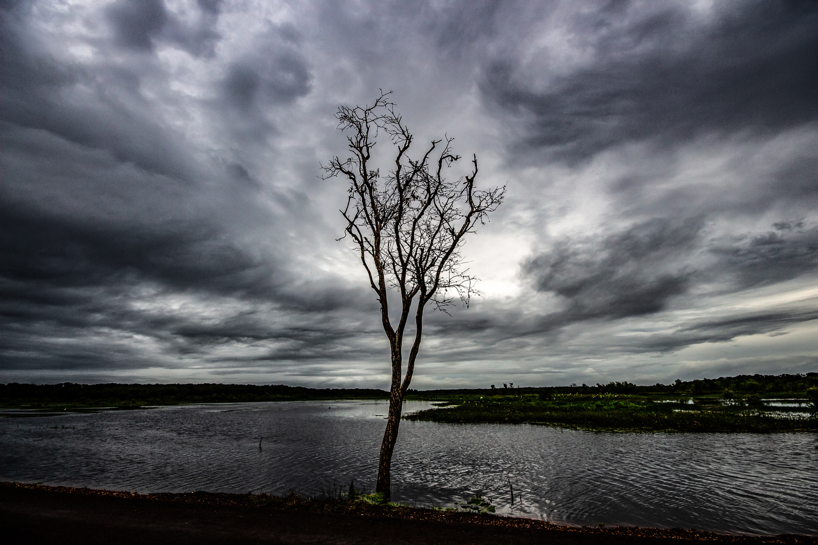 Fogg Dam Reserve After Monsoon