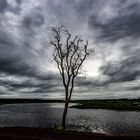 Fogg Dam Reserve After Monsoon