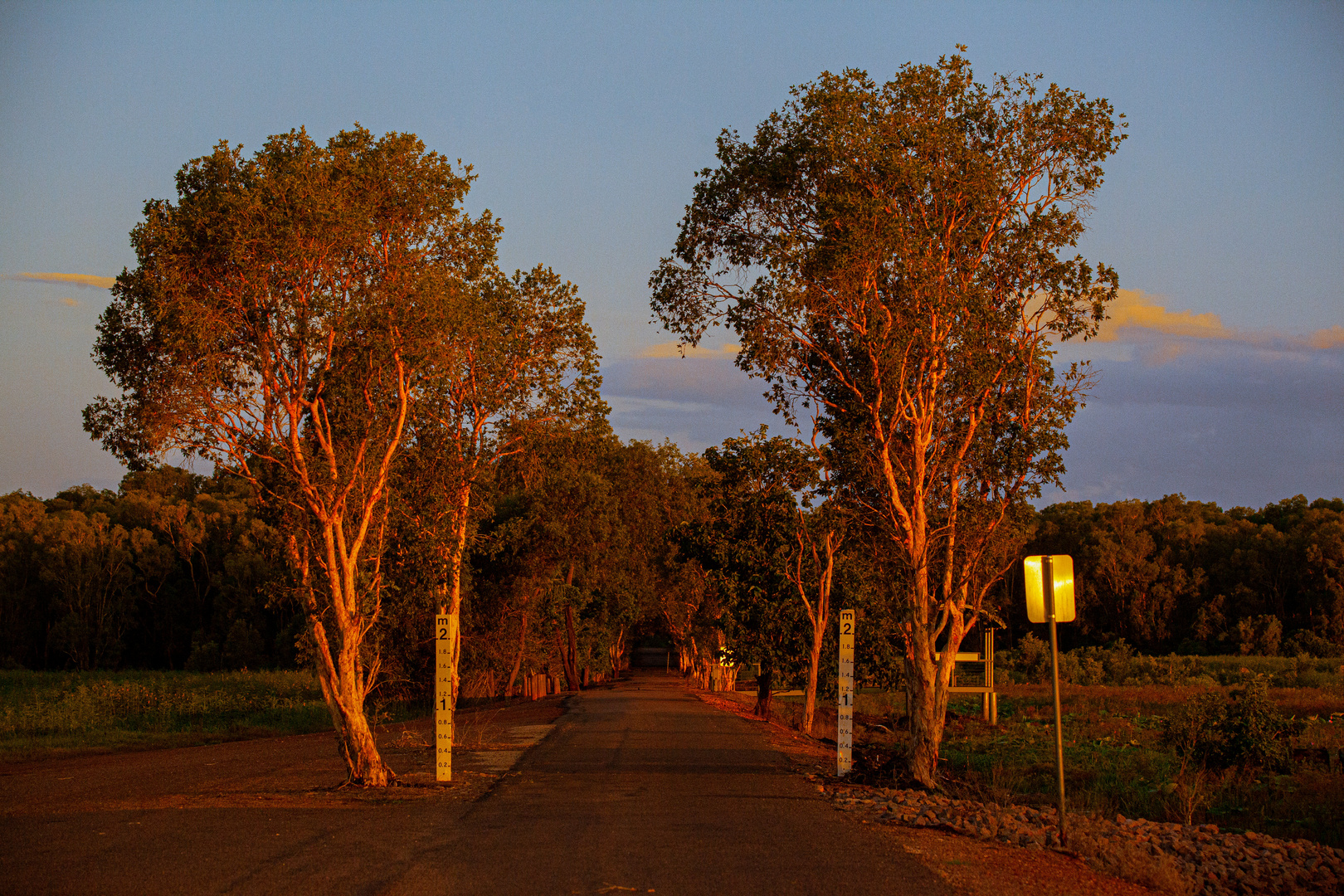 Fogg Dam Reserve At Sunset