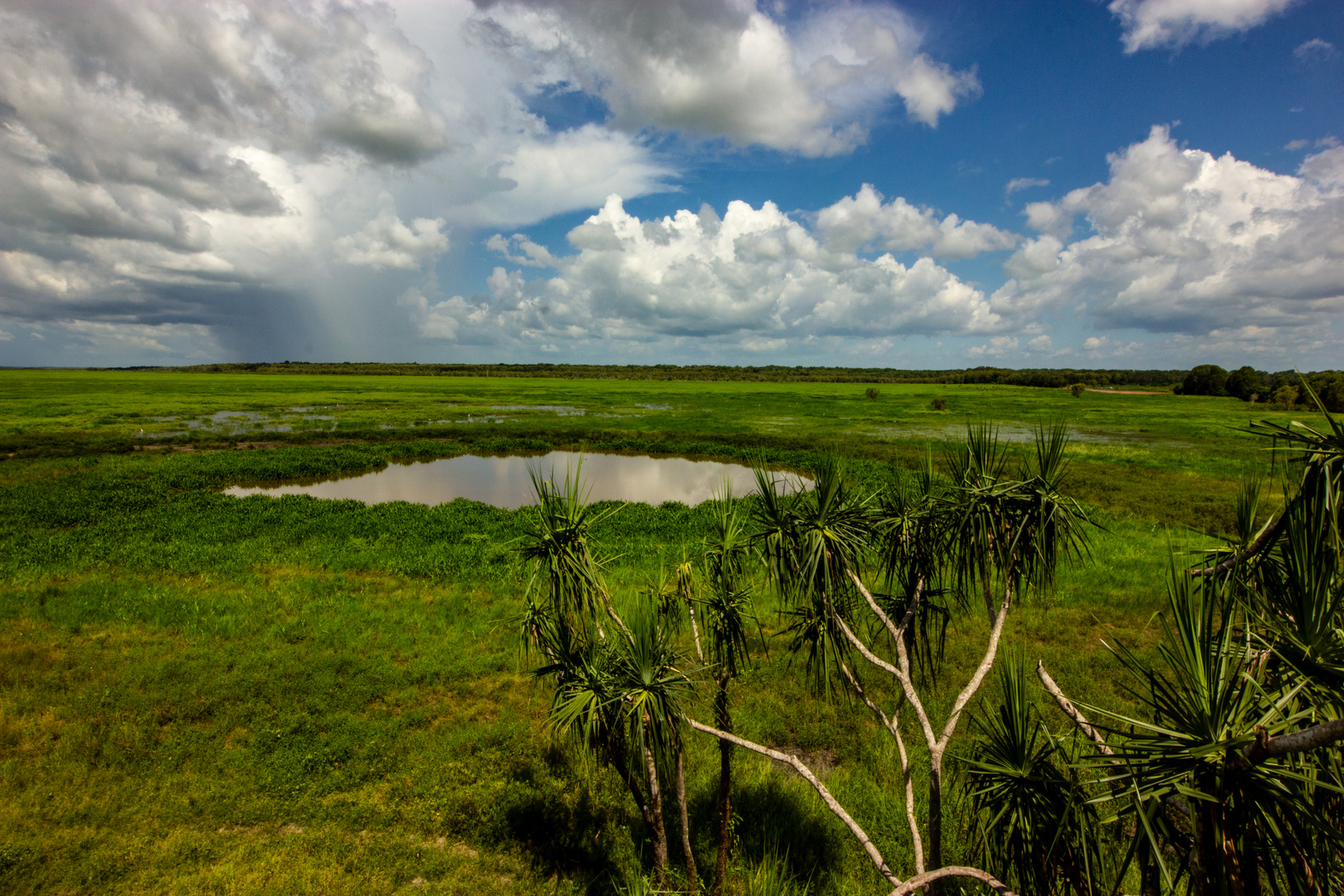 Fogg Dam Reserve