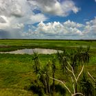 Fogg Dam Reserve