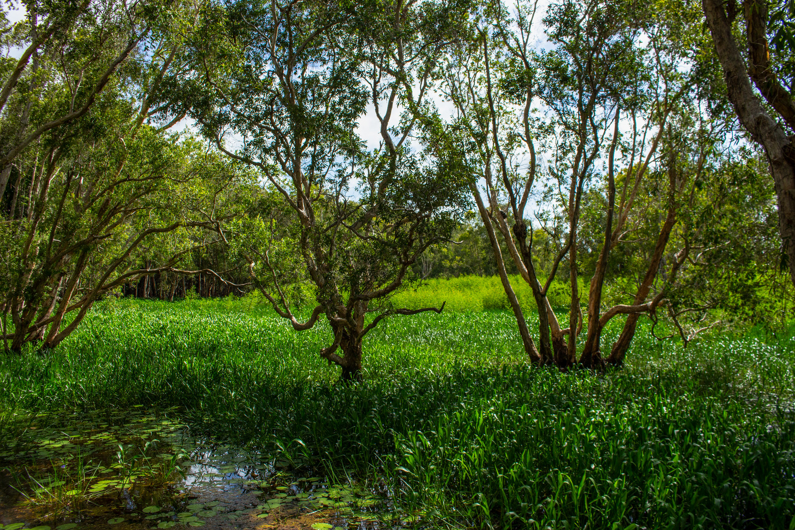 Fogg Dam Reserve