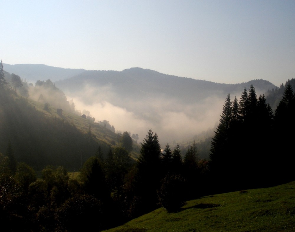 fogg in rarau mountains