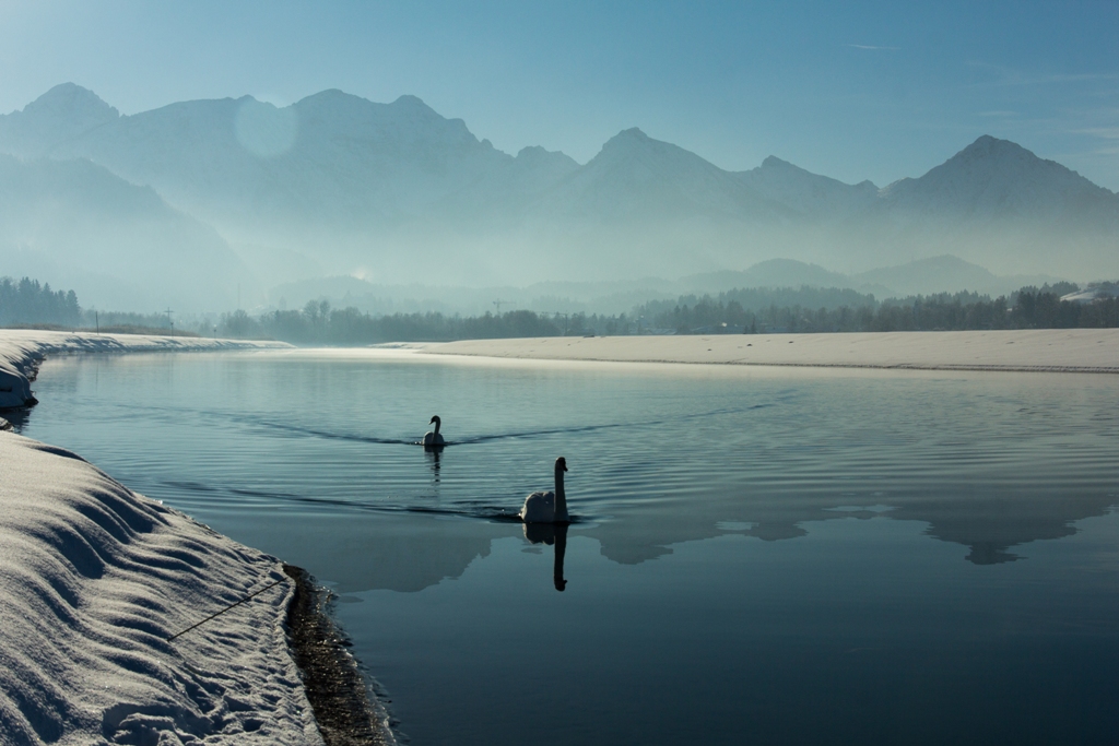 Foggennsee bei Fischen im Ostallgäu