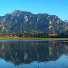 Foggensee mit Schloss Neuschwanstein 