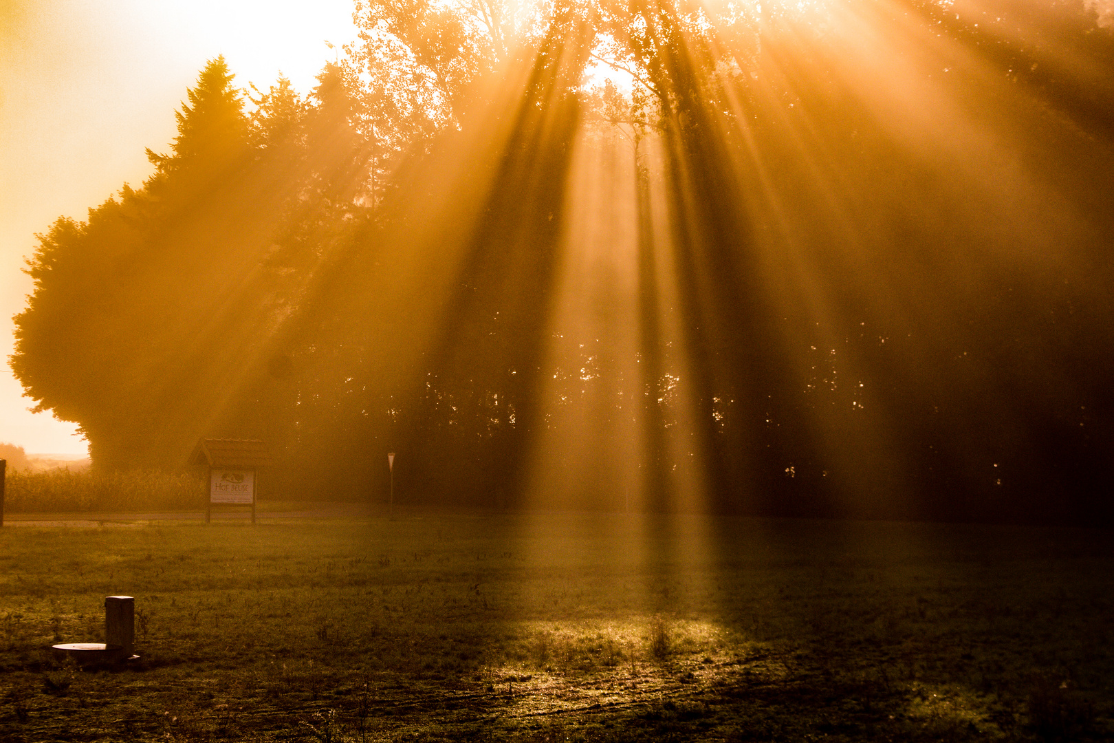 Foggy And Sunny Morning