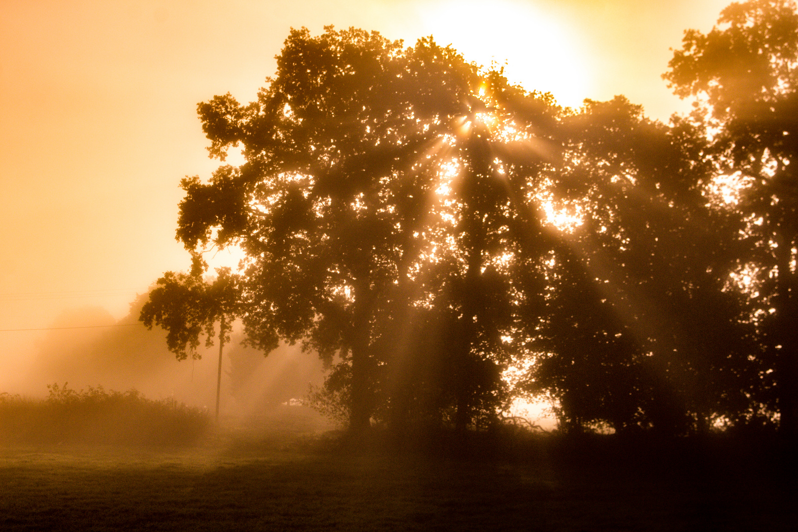 Foggy And Sunny Morning