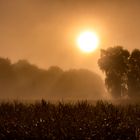 Foggy And Sunny Morning