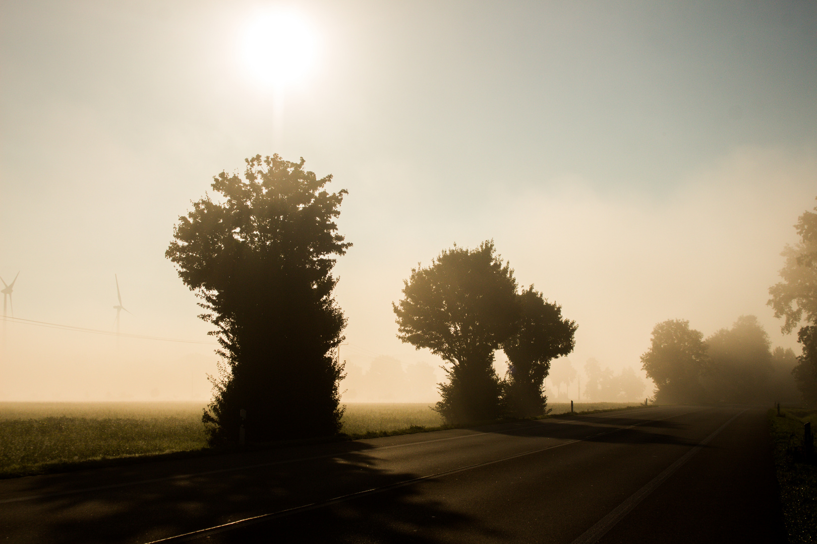 Foggy And Sunny Morning