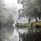 foggy autumn