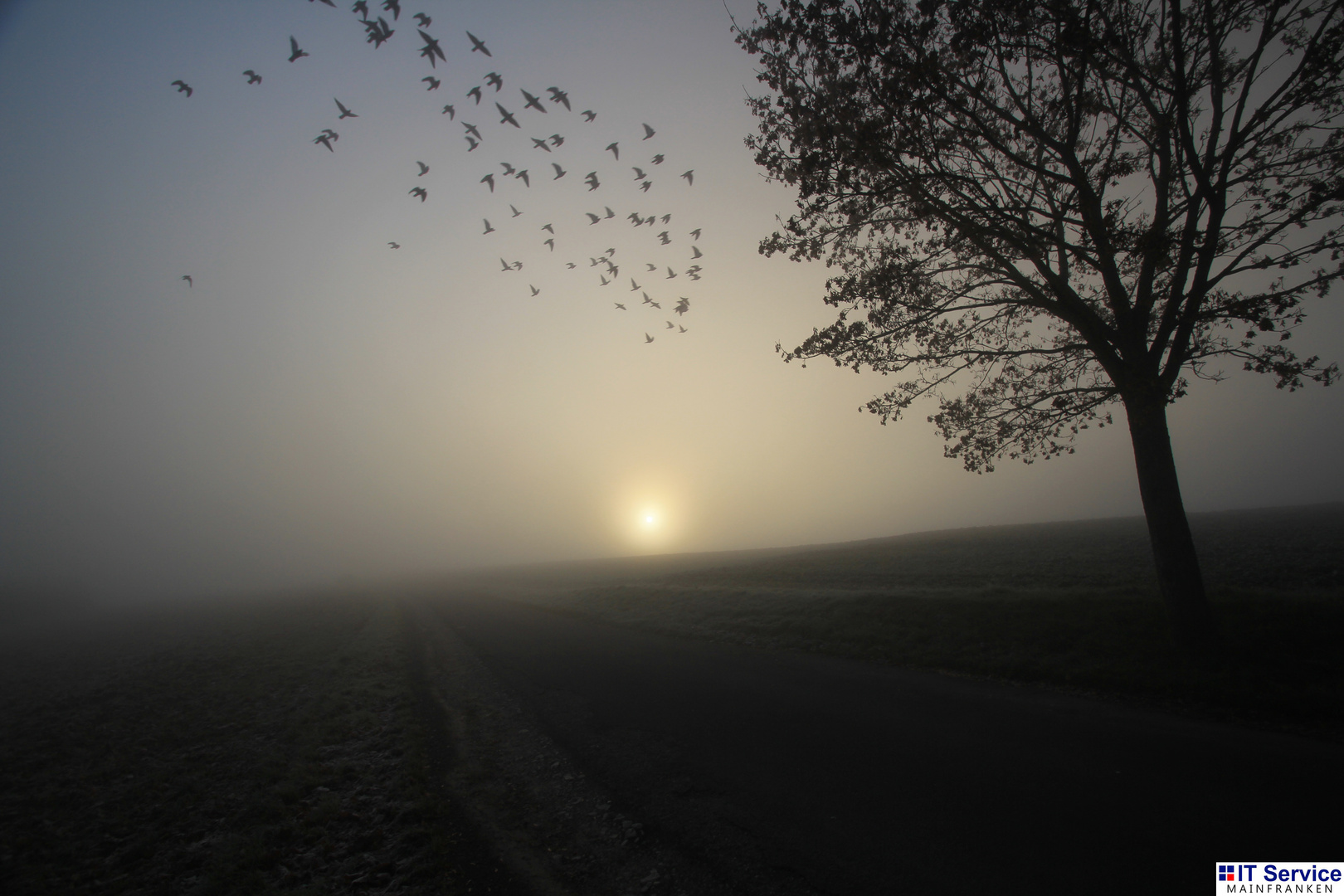 Foggy autumn morning