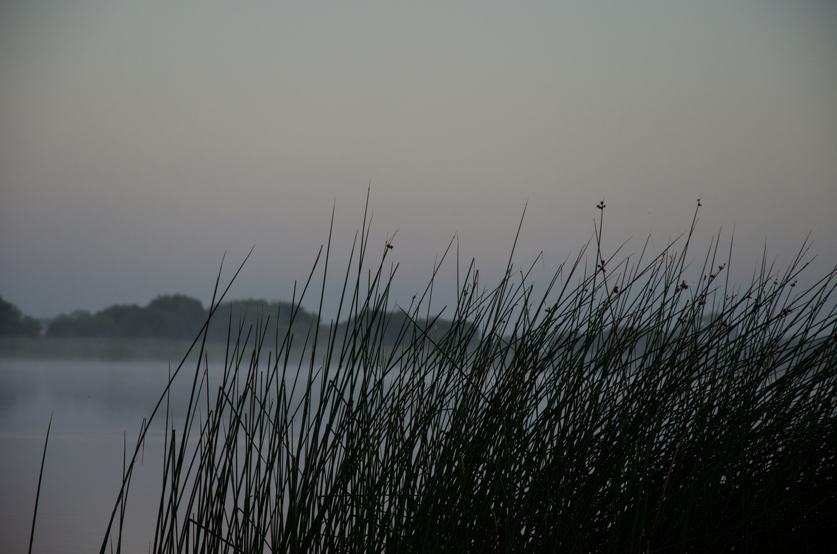 foggy Ballykeeran