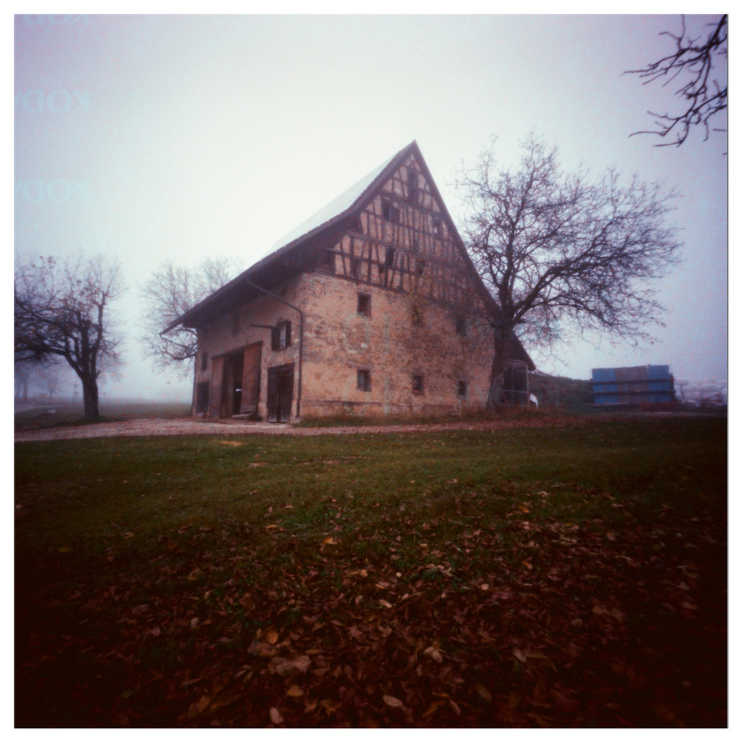 Foggy Barn