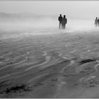 Foggy Beach