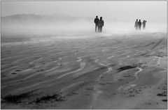Foggy Beach
