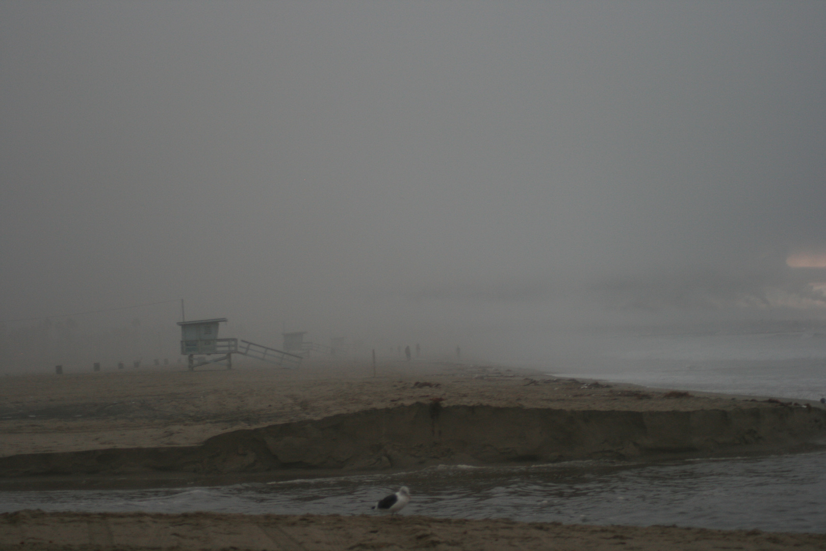 Foggy Beach