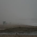 Foggy Beach