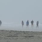 Foggy Beach - der Hund