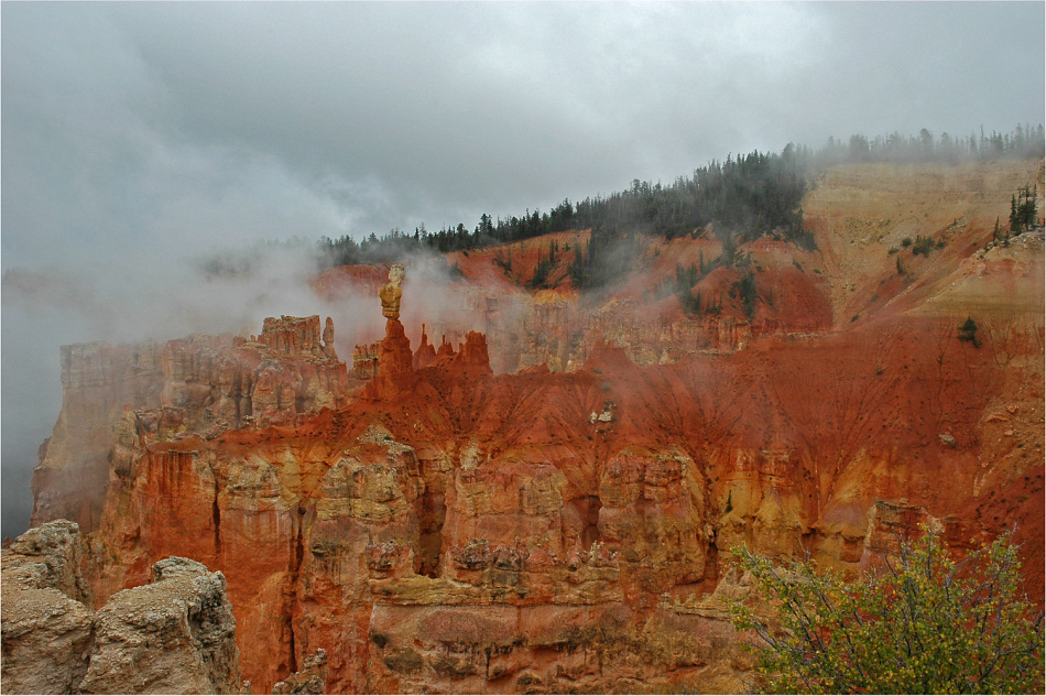 Foggy Bryce